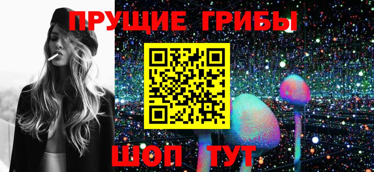 Галлюциногенные грибы Cubensis Сердобск