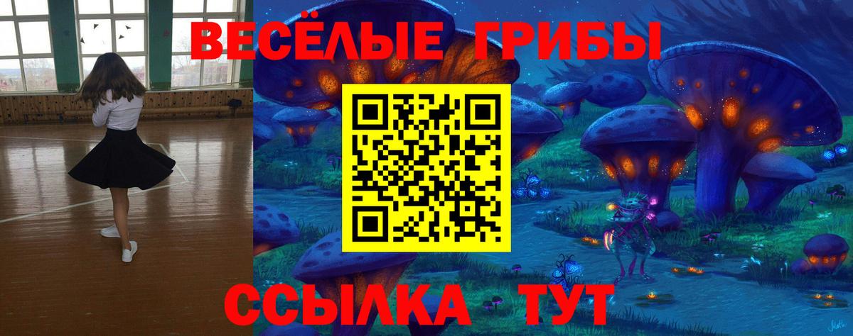 Сердобск  Псилоцибиновые грибы мицелий  Вход с VPN 